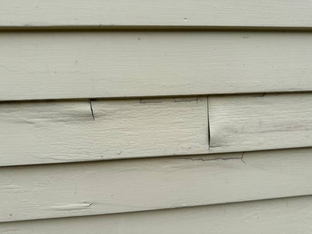 Best Steel Siding Installation  in Prieton, NC